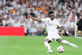 拉松游泳比, 辅助裁判员, 的模式 拉松游泳比, 辅助裁判员, 的模式